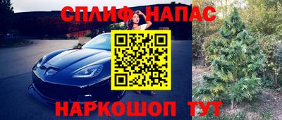 бошки Гусев