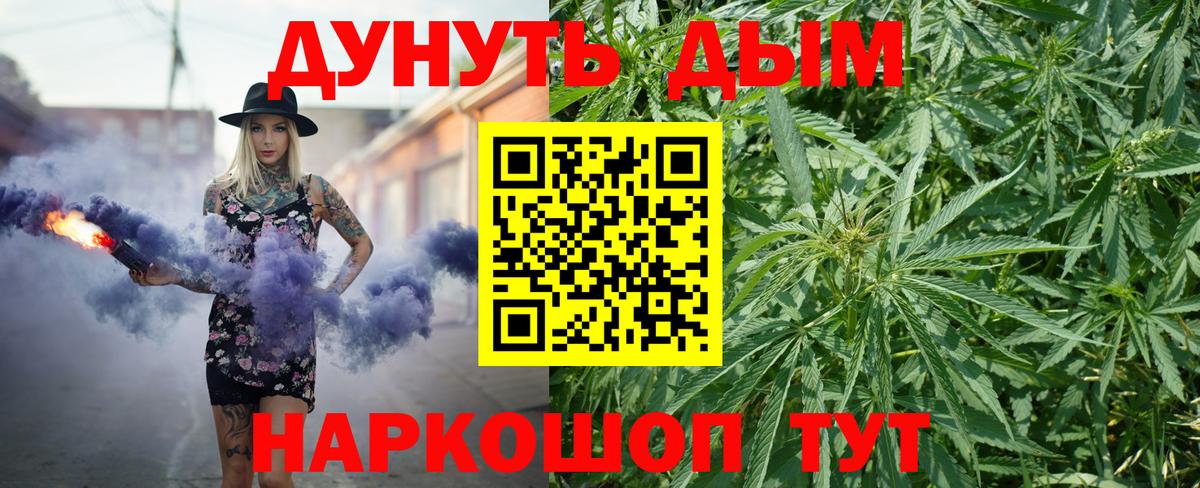 Бошки Шишки семена Медногорск